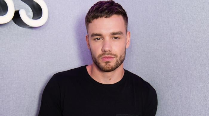 Liam Payne TV shows held off after singer’s sudden death