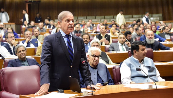 Prime Minister Shehbaz Sharif addressing the National Assembly, on October 21, 2024. — X/@NAofPakistan