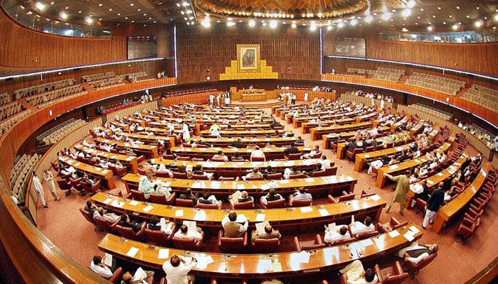 A view of a National Assembly session. — APP/File