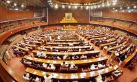 Which PTI-backed MNAs Voted For 26th Constitutional Amendment?