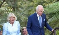 Queen Camilla’s Struggles Revealed After Separate Travel From King Charles