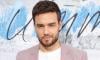 Liam Payne's death calls out for new 'legislation' 