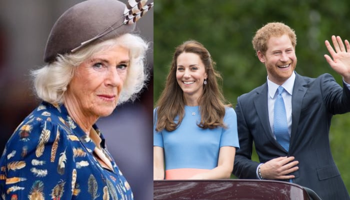 Queen Camilla opposes Kate Middleton’s plan about Prince Harry return