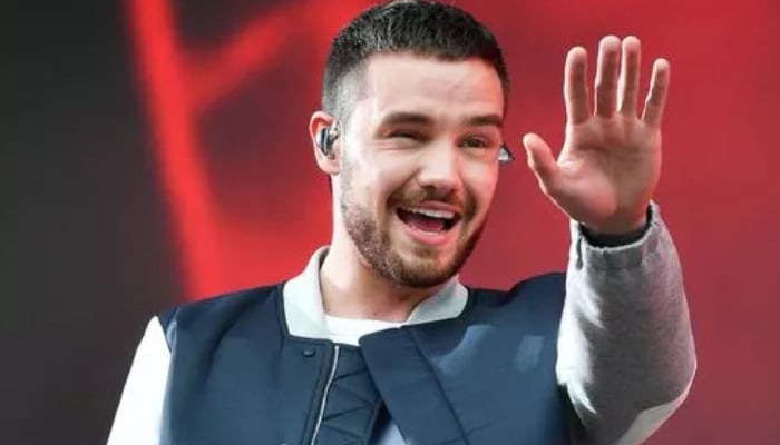 Kate Cassidy stood firm with Liam Payne during his legal drama