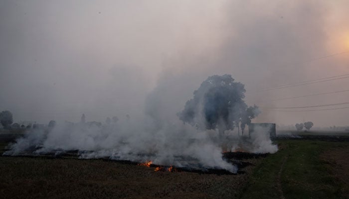 Smoke rises from the burning stubble in a rice field at a village in Karnal in the northern state of Haryana, India, October 21, 2024. — Reuters