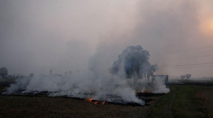 Smog challenge: Pakistan, India launch crackdown on growers for burning crop waste