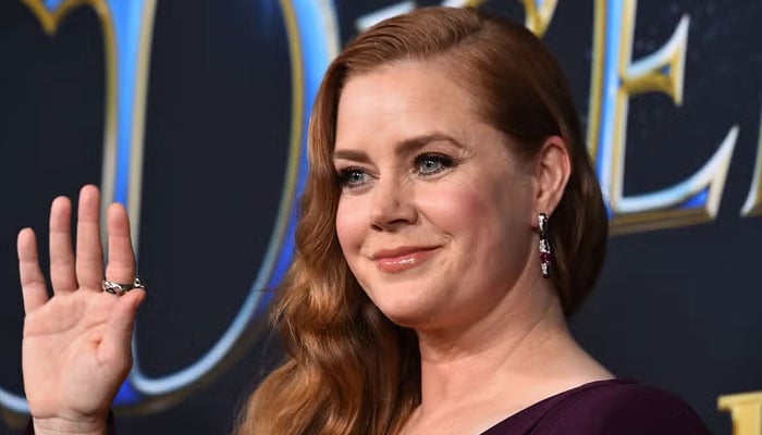 Amy Adams is looking forward to the James Gunn-helmed Superman movie