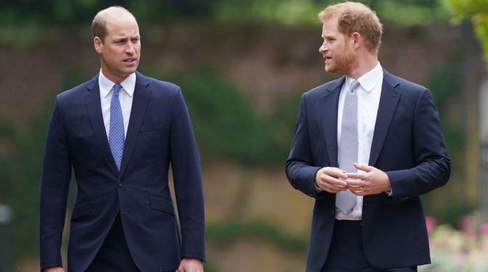 Prince William fears Harry will 'upstage' future King with royal return