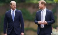 Prince William Fears Harry Will 'upstage' Future King With Royal Return