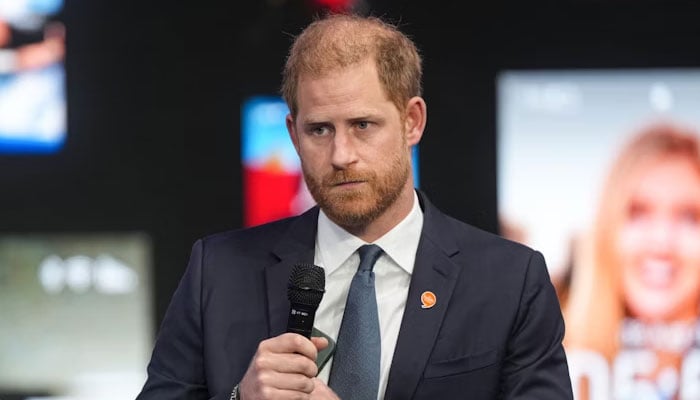 Prince Harry legal worries spring back following massive purchase