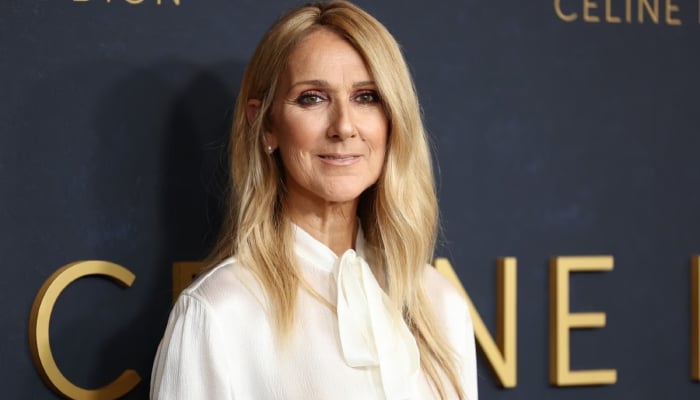 Céline Dion faces backlash over Olympics performance: Kick in the teeth