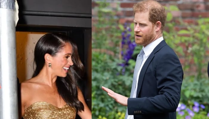 Harry recently undertaking public engagements across New York, London, and Southern Africa, away from Meghan