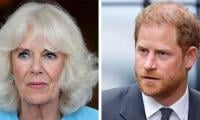 Prince Harry’s Criticism Of Queen Camilla Validates King Charles’s Concerns Over Sussexes