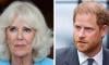 Prince Harry’s criticism of Queen Camilla validates King Charles’s concerns over Sussexes