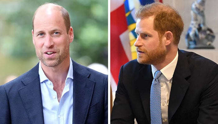 Prince William makes first public mention of ‘estranged’ Prince Harry