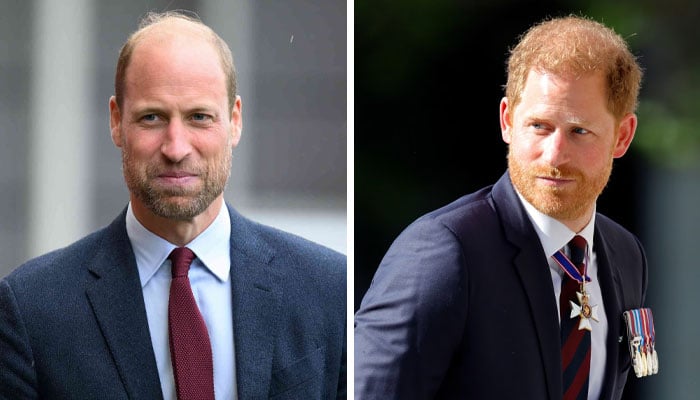 Prince William sends important message to Prince Harry after public mention