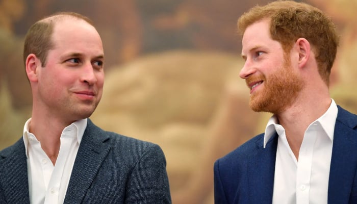 Prince William finally begins peace talks with Prince Harry