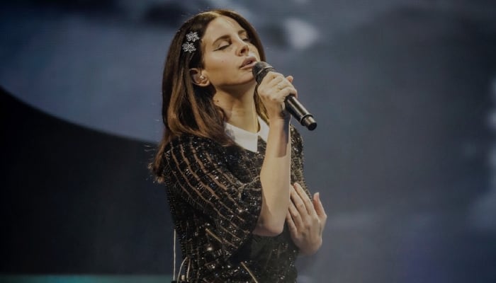 Lana Del Rey expresses gratitude to stylist for matching her energy