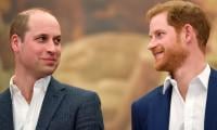 Prince William Finally Begins Peace Talks With Prince Harry