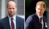 Prince William sends important message to Prince Harry after public mention