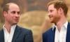 Prince William finally begins peace talks with Prince Harry