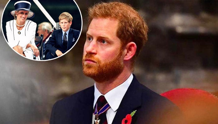 Prince Harry regrets being left out from major tribute for Princess Diana