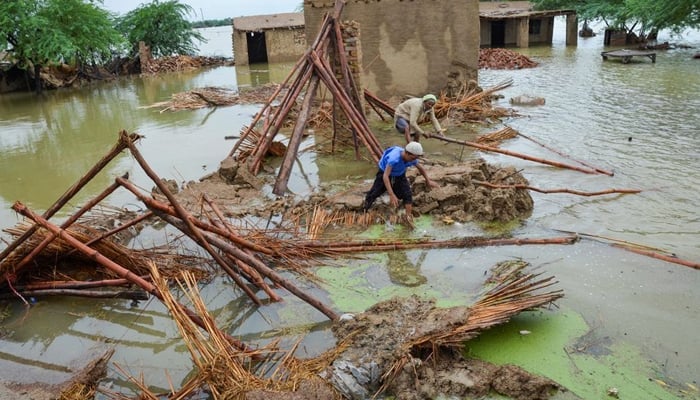 People retrieve bamboos from a damaged house following rains and floods during the monsoon season in Dera Allah Yar, district Jafferabad, Balochistan, Pakistan August 25, 2022. — Reuters