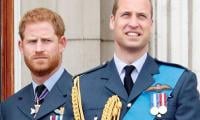 Prince Harry Set To Give Prince Willian Big Surprise After Olive Branch