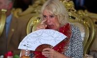 King Charles's Worrying Confession Leaves Queen Camilla 'petrified'