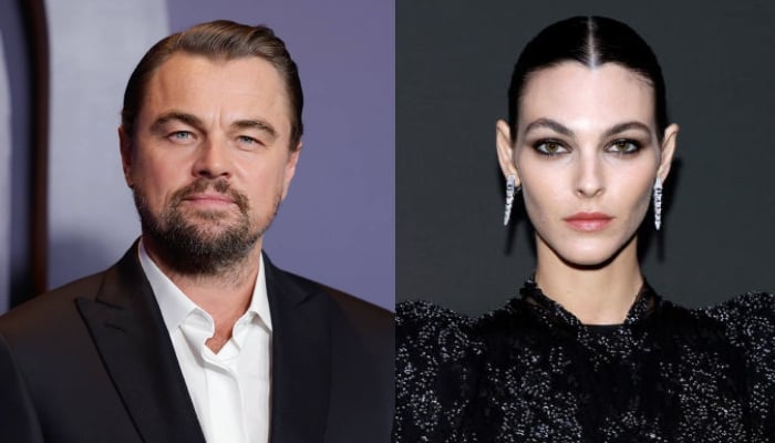 Leonardo DiCaprio enjoys Halloween party without girlfriend, Vittoria Ceretti