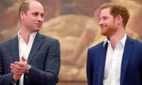 Prince William Makes First Statement After Prince Harry 'olive Branch'