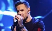 Liam Payne's Posthumous Track 'Do No Wrong' Release Put On Hold