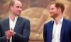 Prince William makes first statement after Prince Harry 'olive branch'