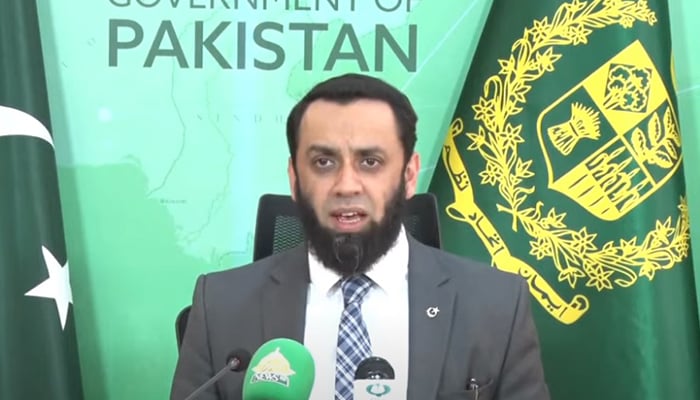 Federal Minister for Information and Broadcasting Attaullah Tarar addresses the press conference in Islamabad on November 1, 2024. — Screengrab via Geo News