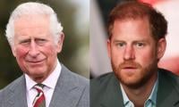 King Charles Surprises Prince Harry With Big Hollywood Venture 