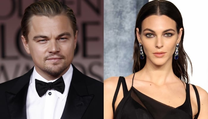 Leonardo DiCaprio, Vittoria Ceretti enjoy star-studded Halloween party