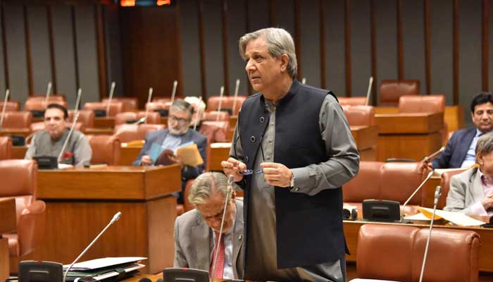 Minister for Law Azam Nazeer Tarar presenting bill in Upper House of Parliament, Islamabad, November 4, 2024. — Facebook/@Pakistansenate