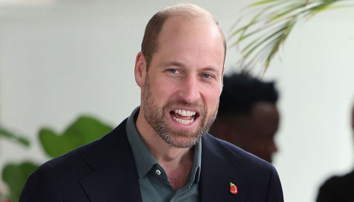 Prince William reunites with old pal in South Africa as Kate stays in UK