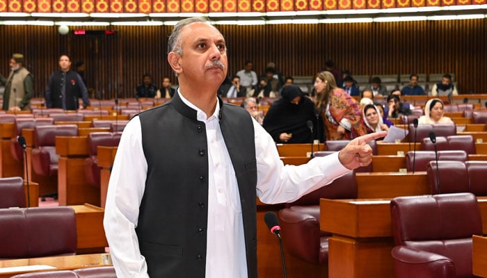 Leader of Opposition Omar Ayub Khan addresses National Assembly session on November 5, 2024. — X/@NAofPakistan