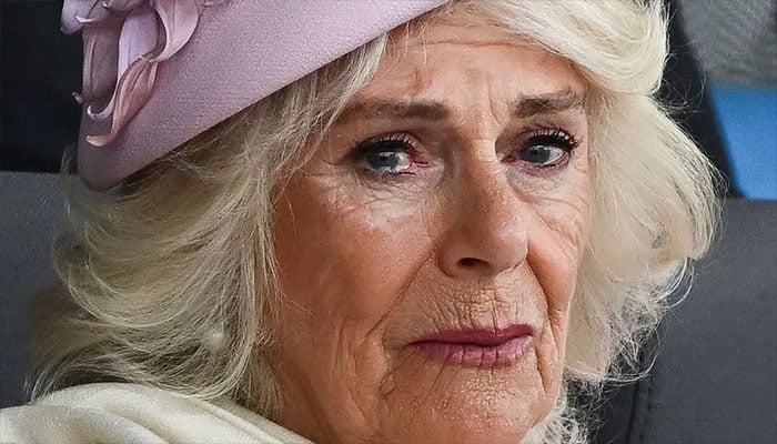 Queen Camilla quits duties after health attack