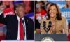 US presidential election: Harris, Trump work to captivate voters as campaigns peak