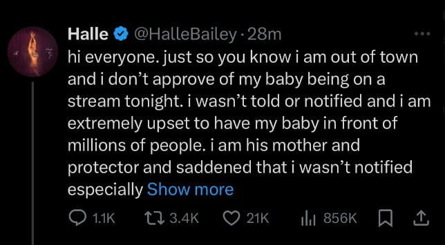 Halle Bailey takes subtle swipe at ex for not protecting son