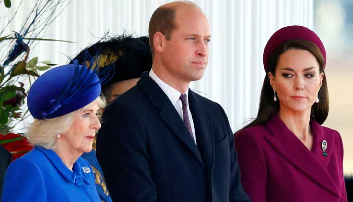 Prince William shares heartfelt message as palace releases Queen Camillas video