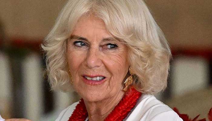 Royal family releases emotional video of Queen Camilla to highlight her work as she falls ill