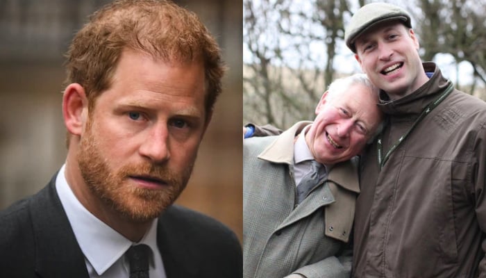 Prince Harry shares emotional message as William recalls brutal year