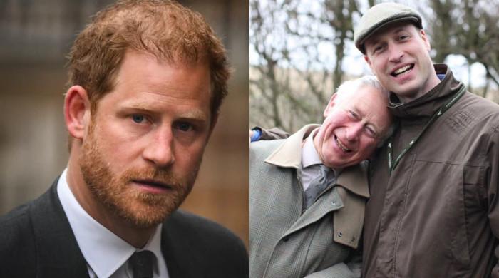 Prince Harry shares emotional message as William recalls ‘brutal’ year