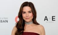 Sophia Bush's Open Marriage Plotline Shocks 'Grey's Anatomy' Fans