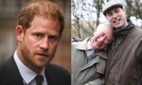 Prince Harry Shares Emotional Message As William Recalls 'brutal' Year