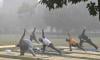 Anti-smog measures: Punjab bans public entry to parks, other private and public spaces