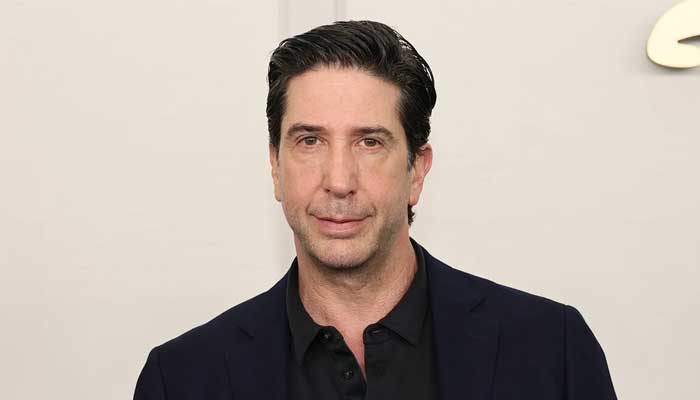 David Schwimmer makes a rare appearance in a recent outing in L.A